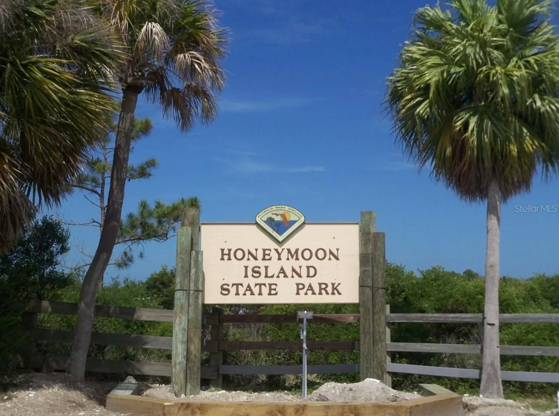 9 Haig Place Dunedin FL 34698