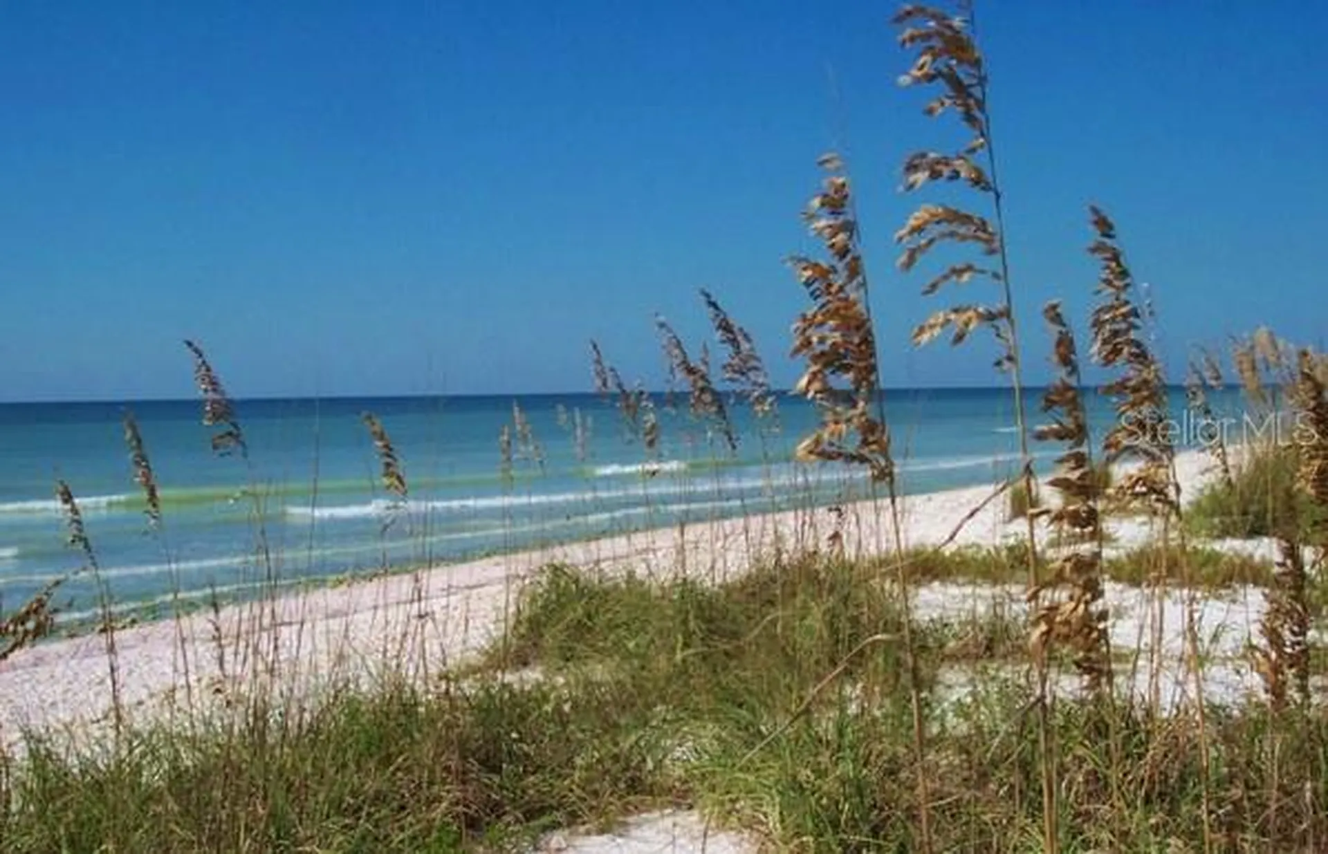9 Haig Place Dunedin FL 34698