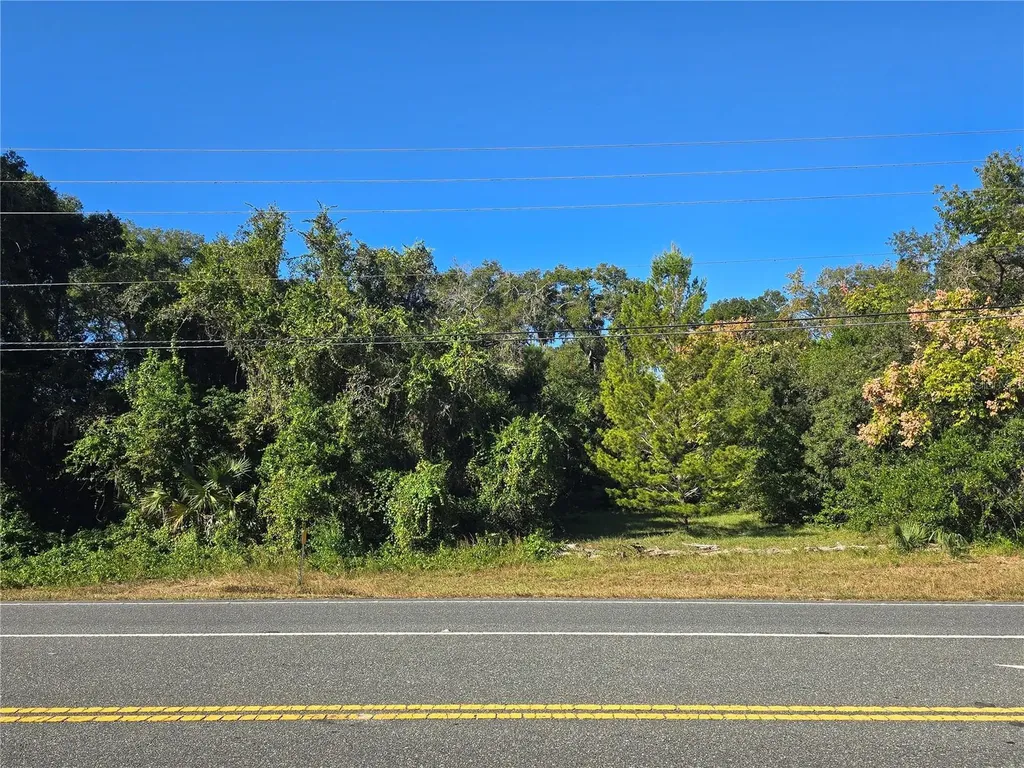 4322 N Carl G Rose Highway Hernando FL 34442