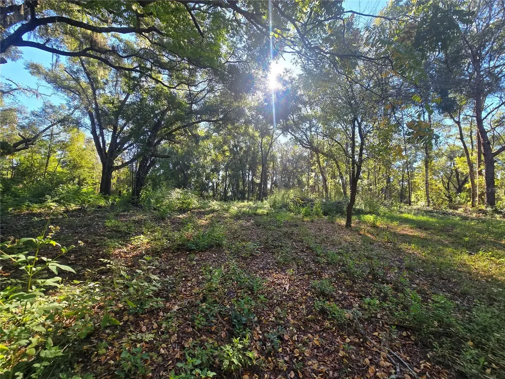 4322 N Carl G Rose Highway Hernando FL 34442