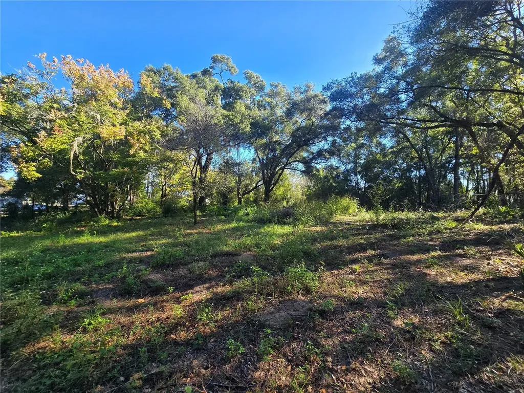 4322 N Carl G Rose Highway Hernando FL 34442
