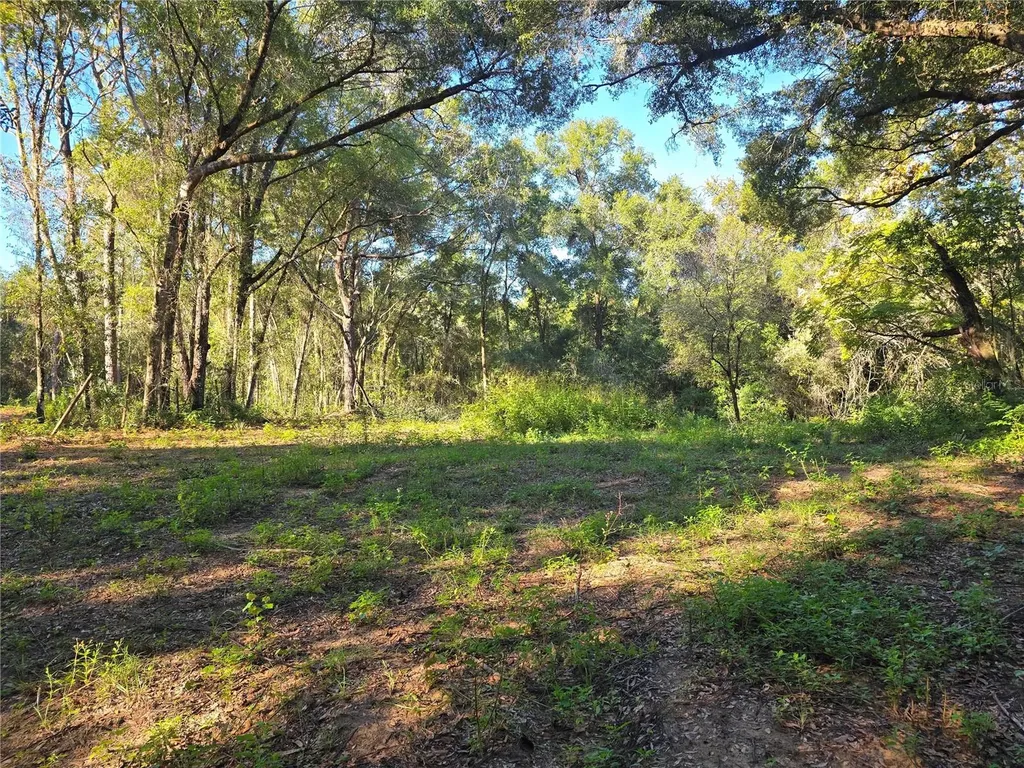 4322 N Carl G Rose Highway Hernando FL 34442