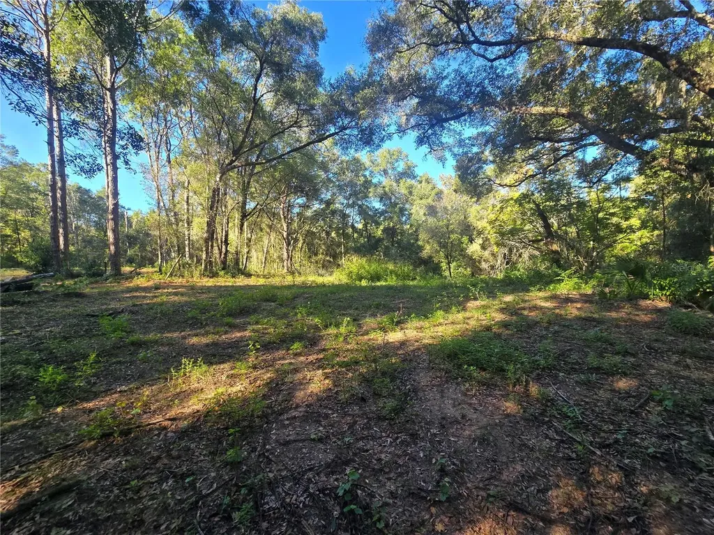 4322 N Carl G Rose Highway Hernando FL 34442
