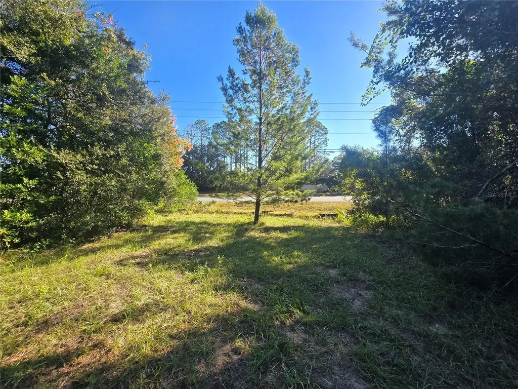 4322 N Carl G Rose Highway Hernando FL 34442