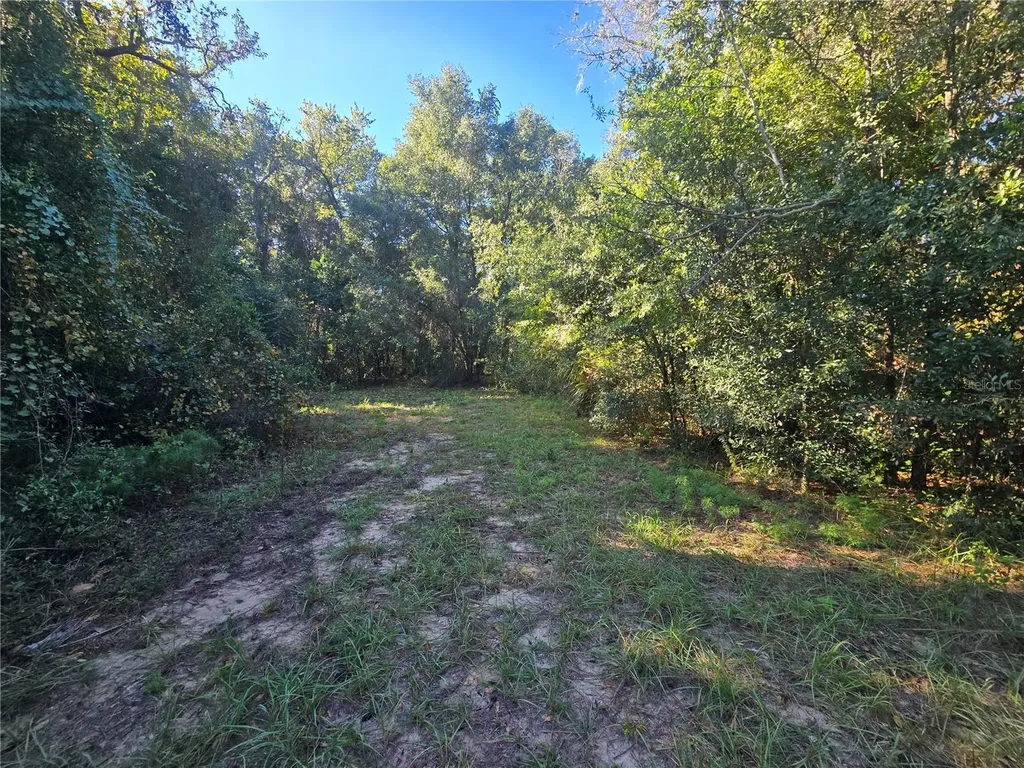 4322 N Carl G Rose Highway Hernando FL 34442