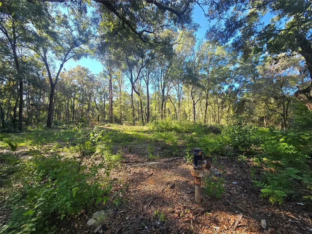 4322 N Carl G Rose Highway Hernando FL 34442