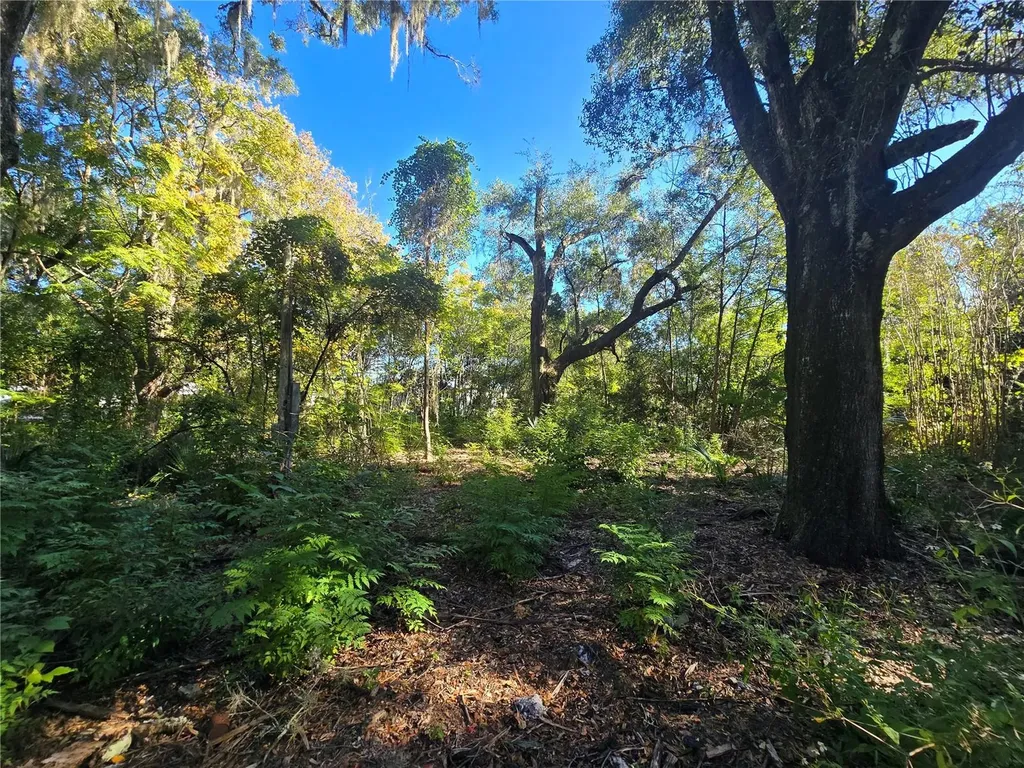4322 N Carl G Rose Highway Hernando FL 34442