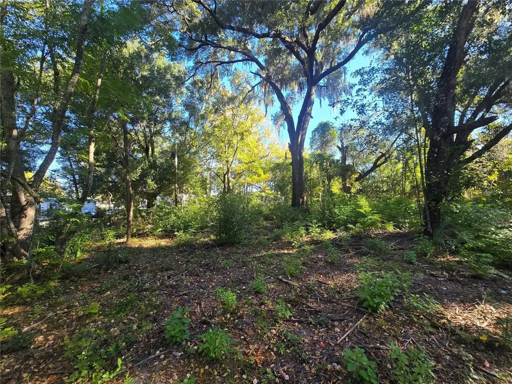 4322 N Carl G Rose Highway Hernando FL 34442