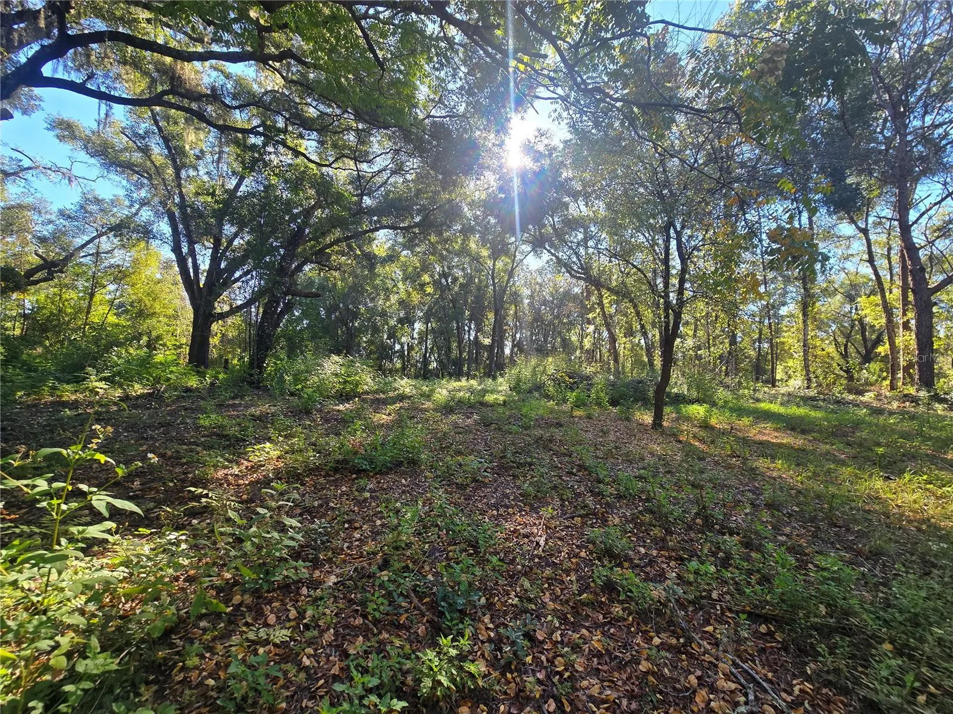 4322 N Carl G Rose Highway Hernando FL 34442