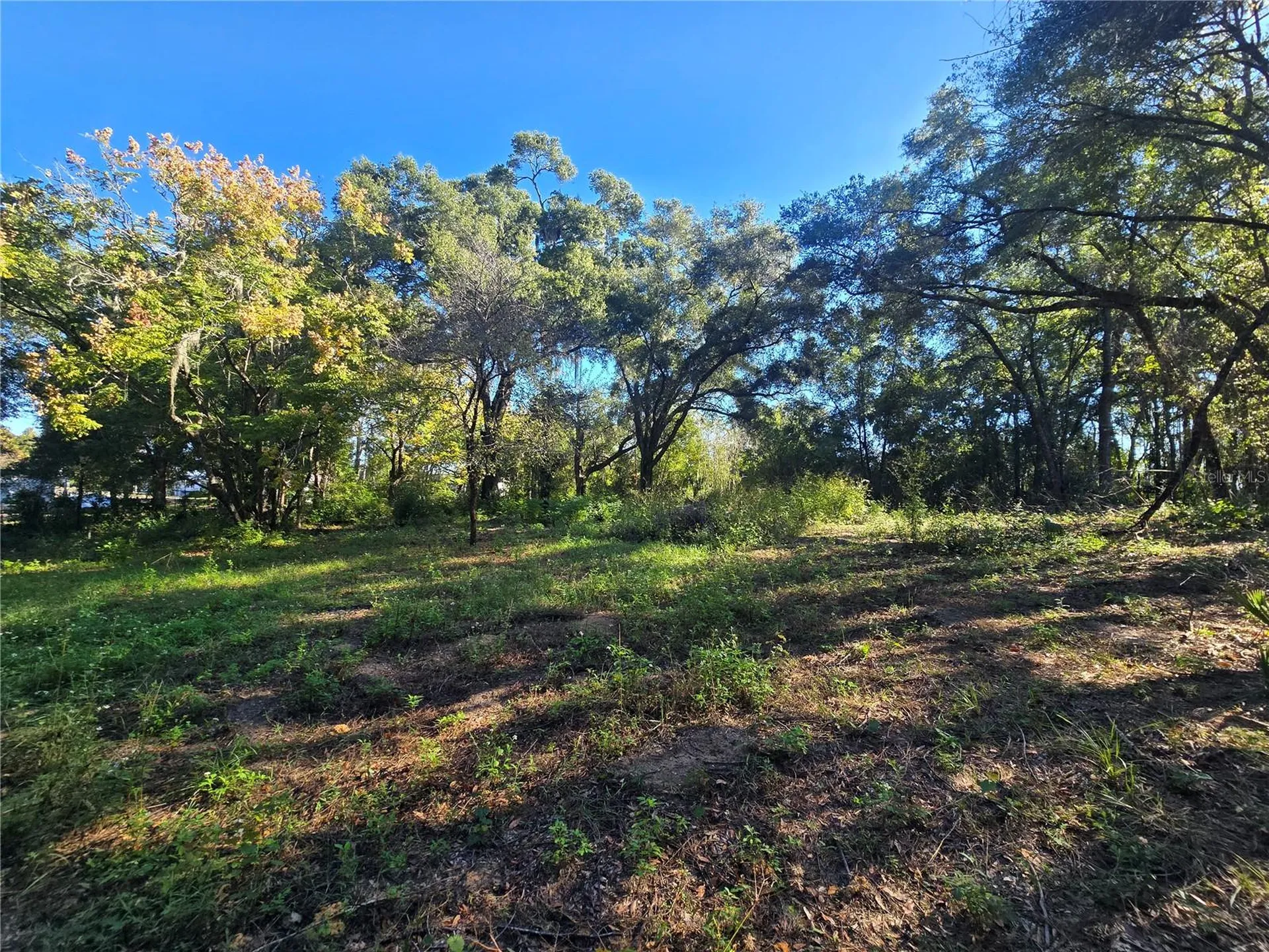 4322 N Carl G Rose Highway Hernando FL 34442