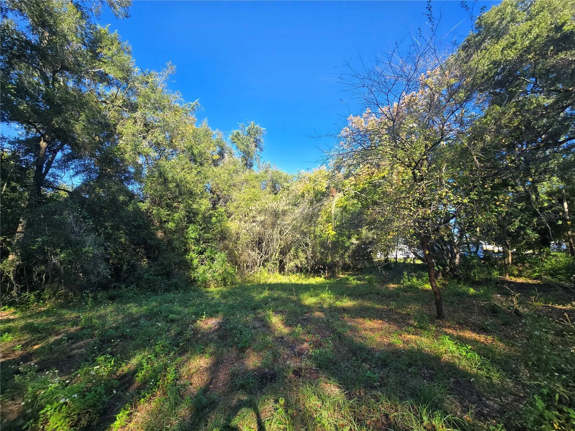 4322 N Carl G Rose Highway Hernando FL 34442