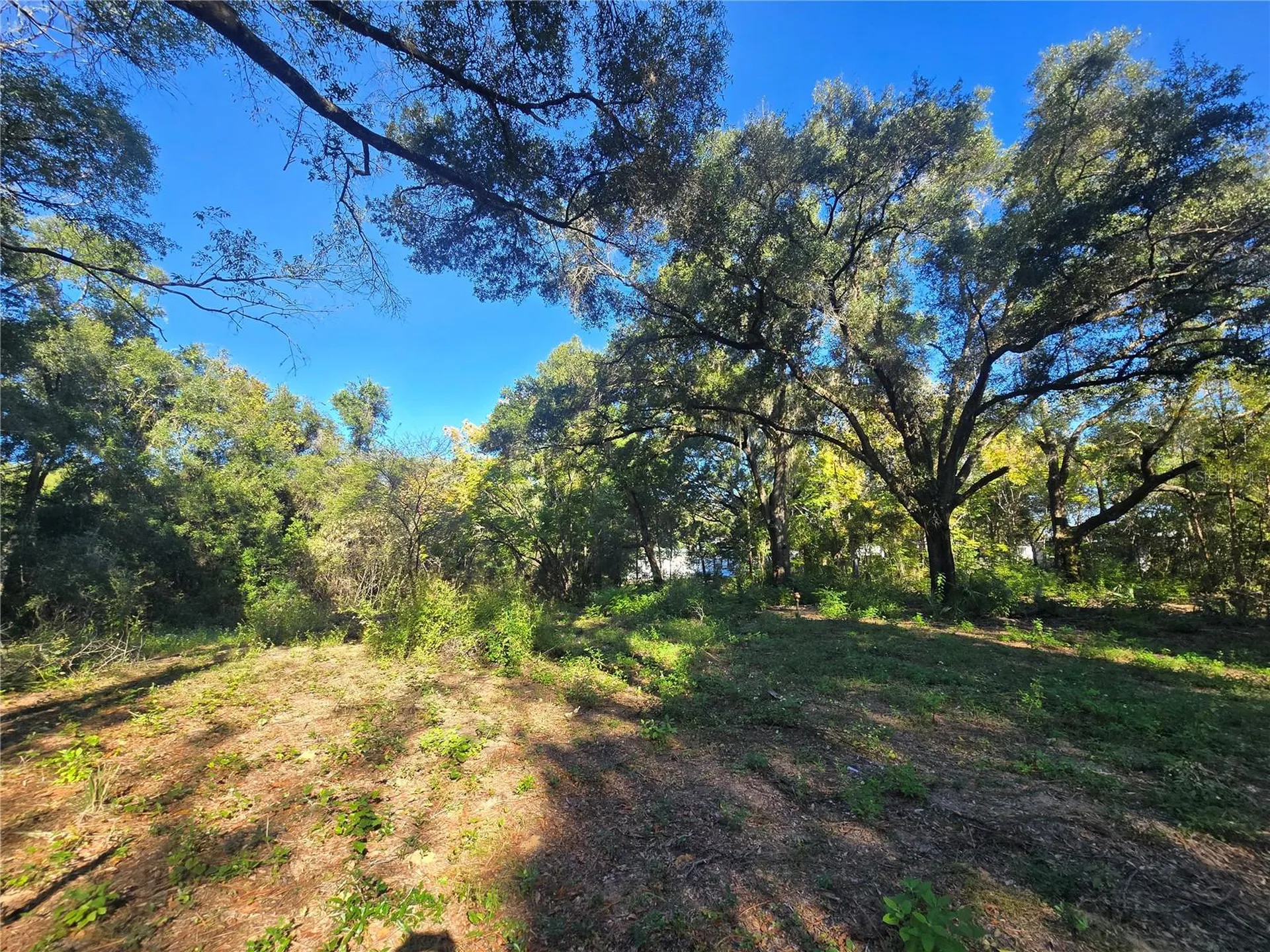 4322 N Carl G Rose Highway Hernando FL 34442