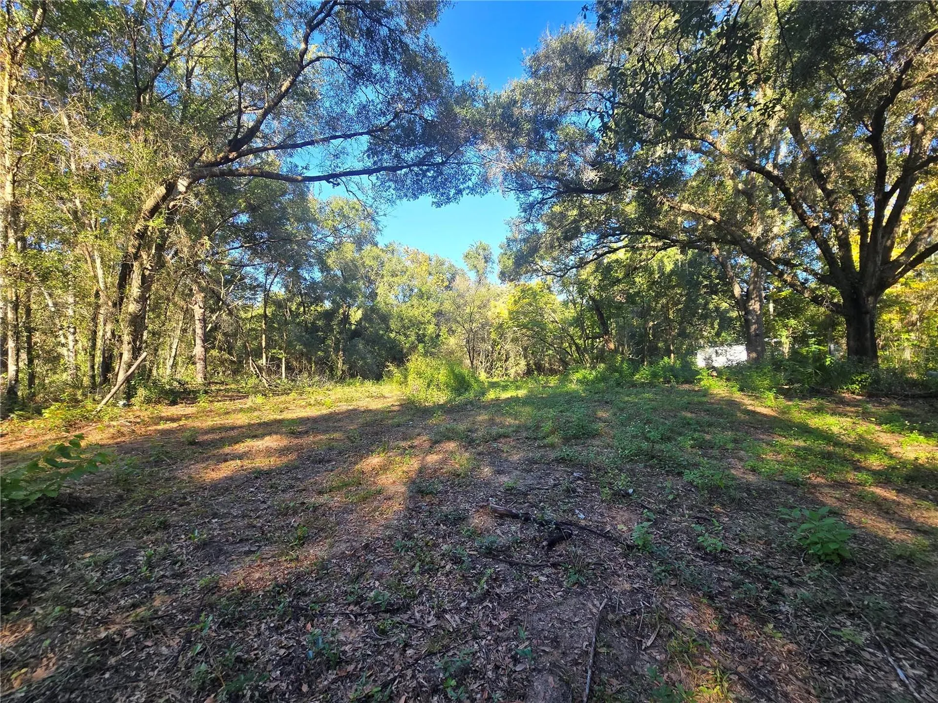 4322 N Carl G Rose Highway Hernando FL 34442