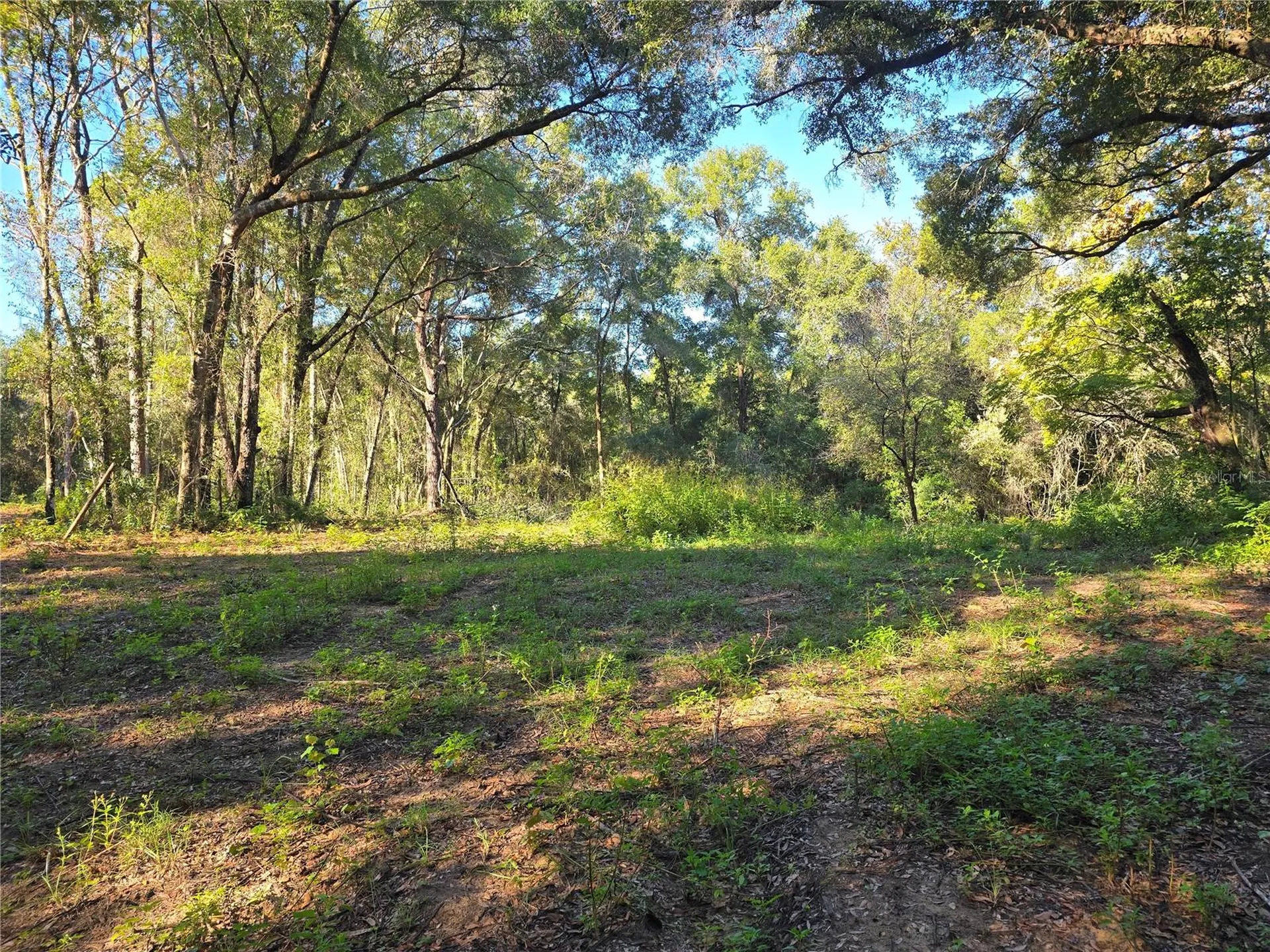 4322 N Carl G Rose Highway Hernando FL 34442