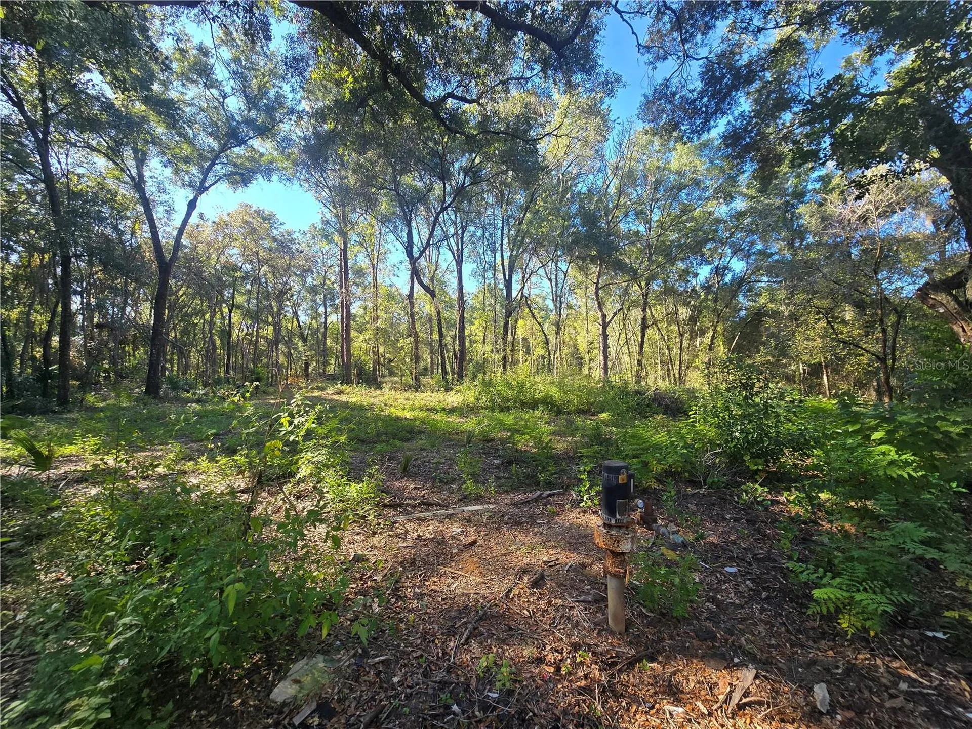 4322 N Carl G Rose Highway Hernando FL 34442