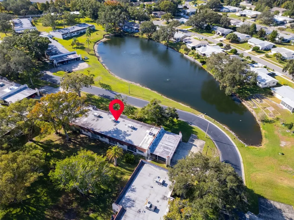 3109 Mission Grove Drive Palm Harbor FL 34684