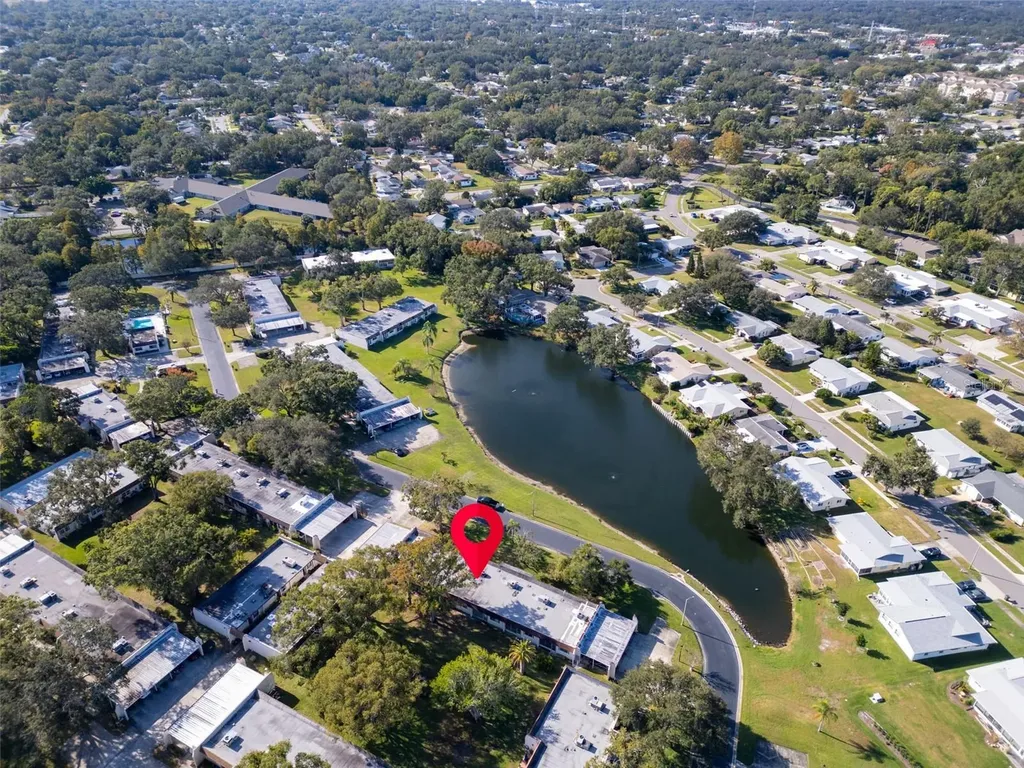 3109 Mission Grove Drive Palm Harbor FL 34684
