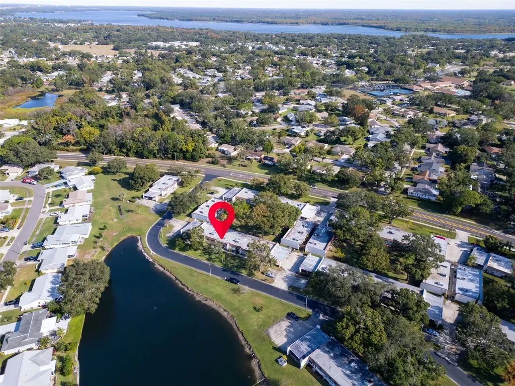 3109 Mission Grove Drive Palm Harbor FL 34684