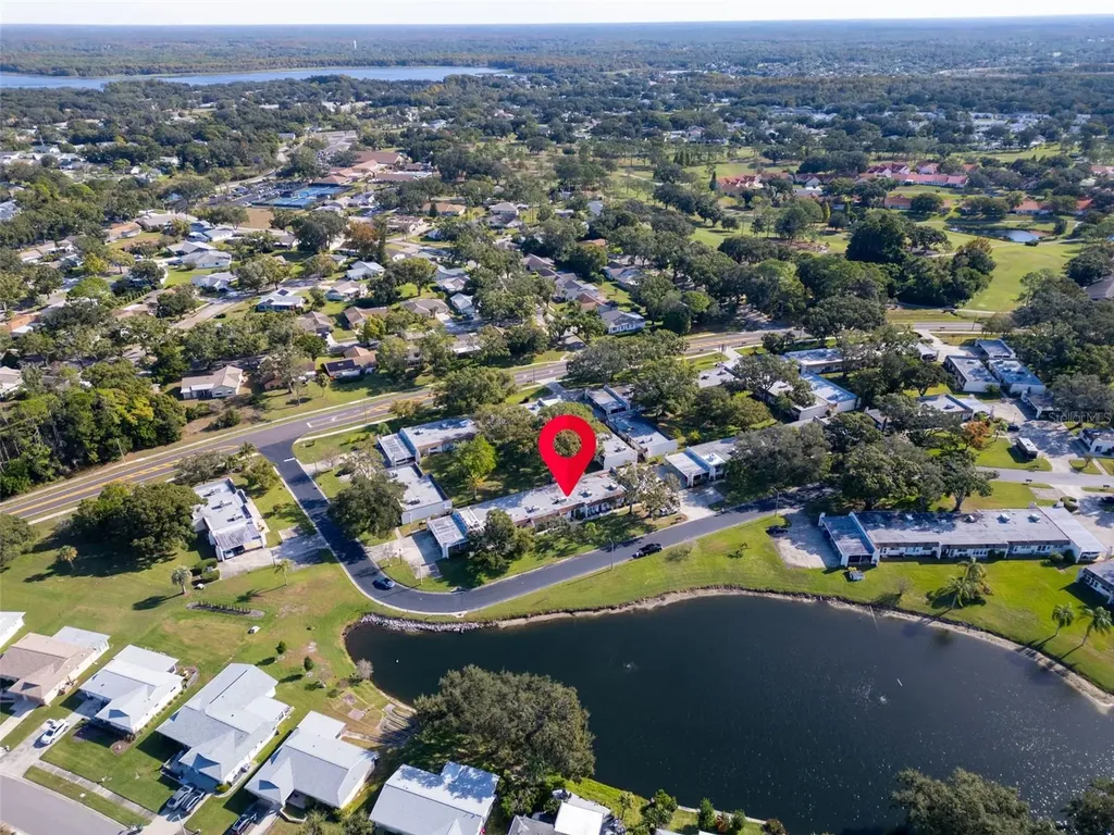 3109 Mission Grove Drive Palm Harbor FL 34684