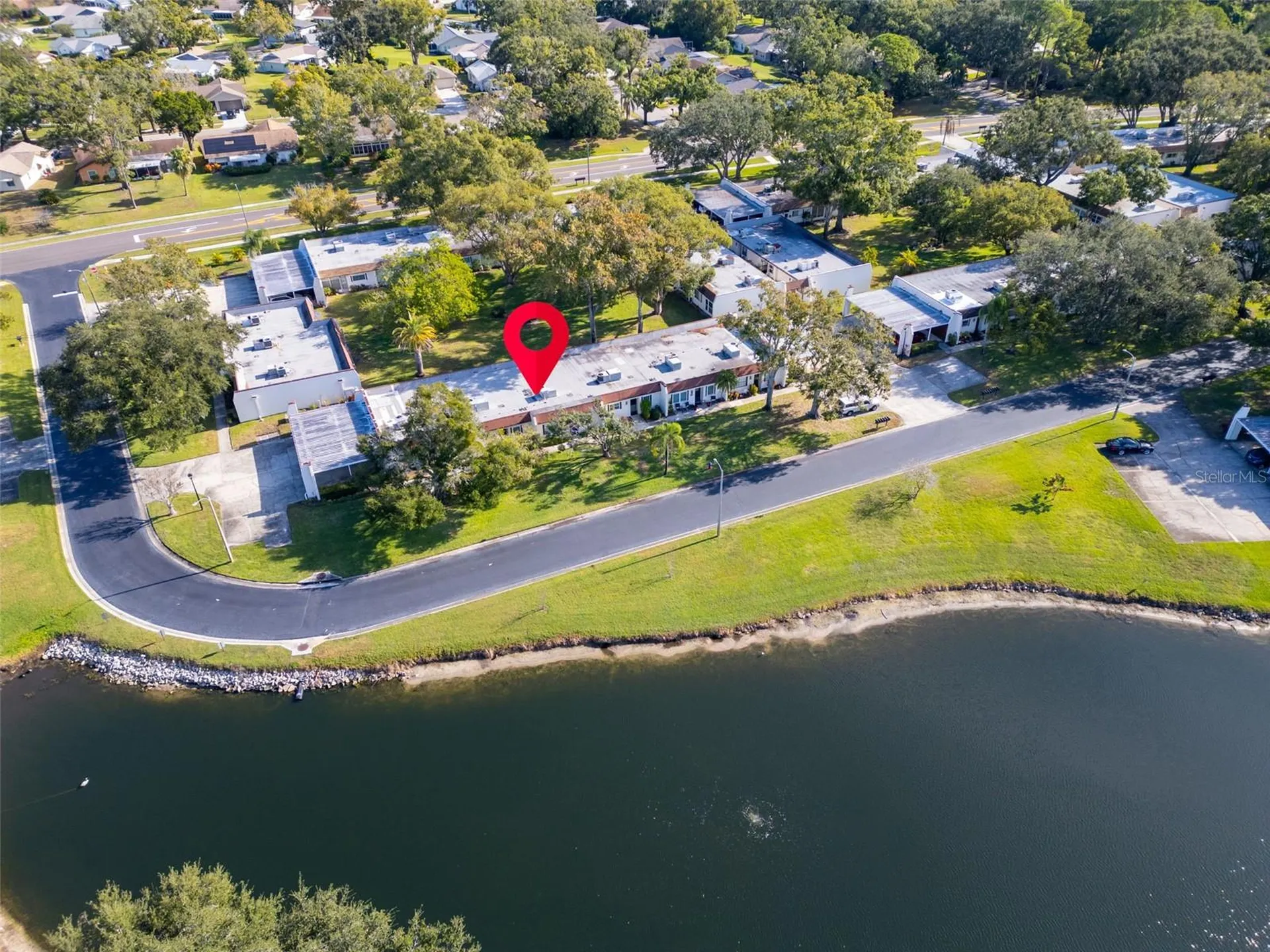 3109 Mission Grove Drive Palm Harbor FL 34684