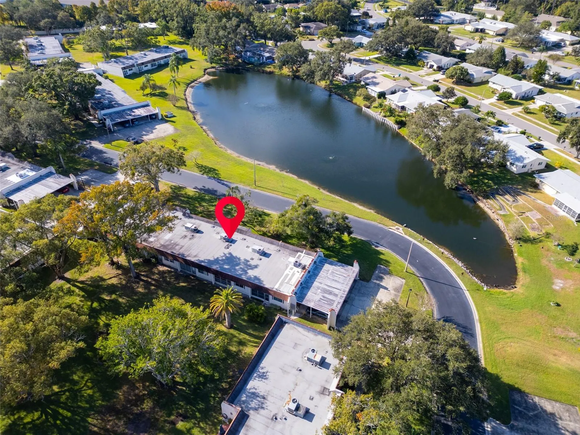 3109 Mission Grove Drive Palm Harbor FL 34684