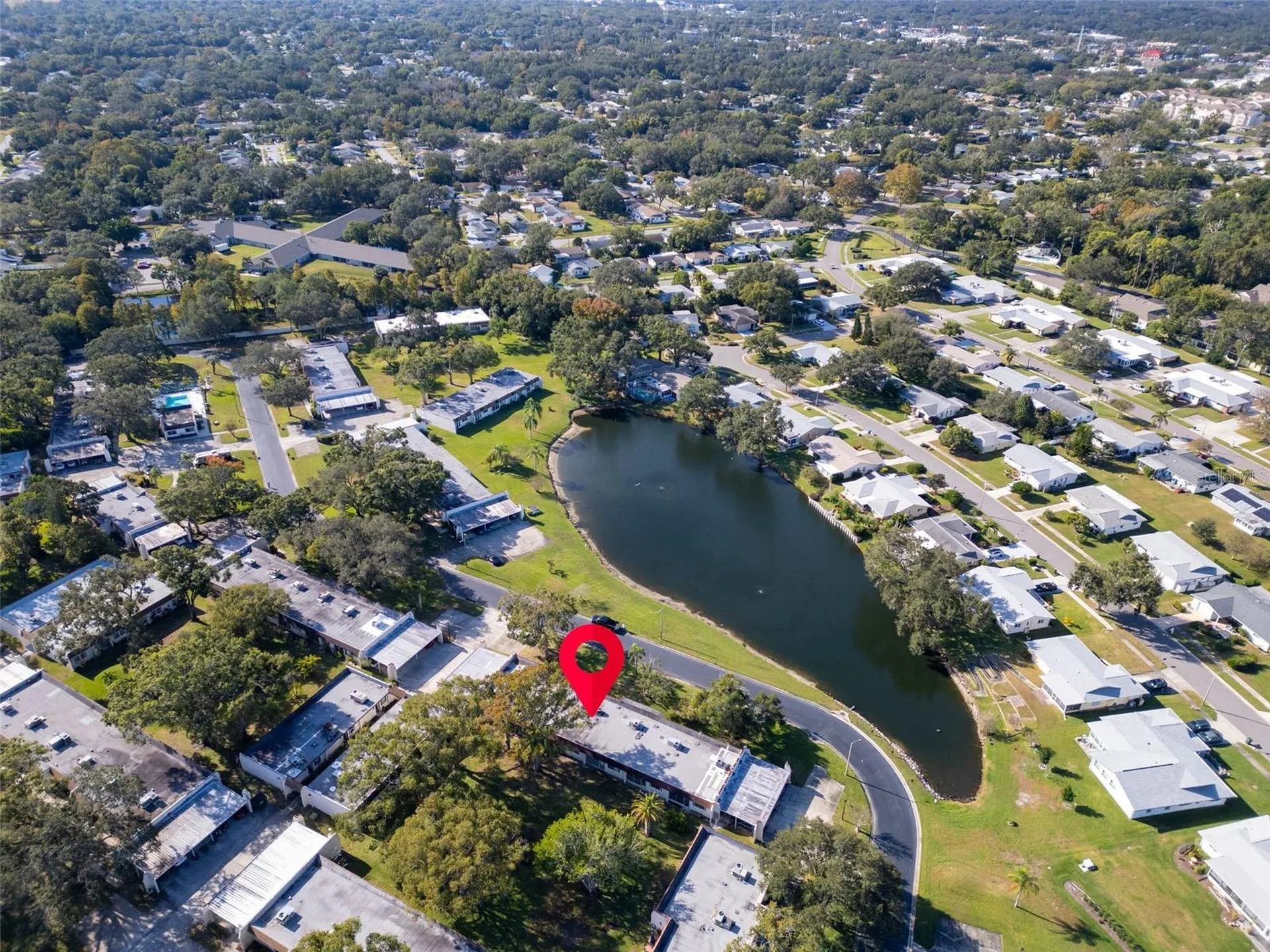 3109 Mission Grove Drive Palm Harbor FL 34684