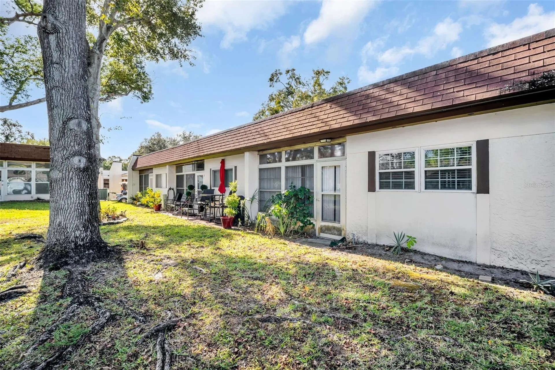 3109 Mission Grove Drive Palm Harbor FL 34684