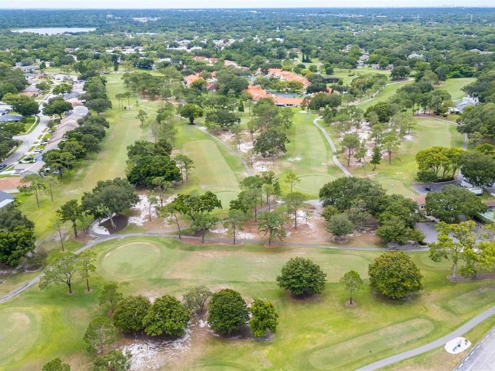 3109 Mission Grove Drive Palm Harbor FL 34684