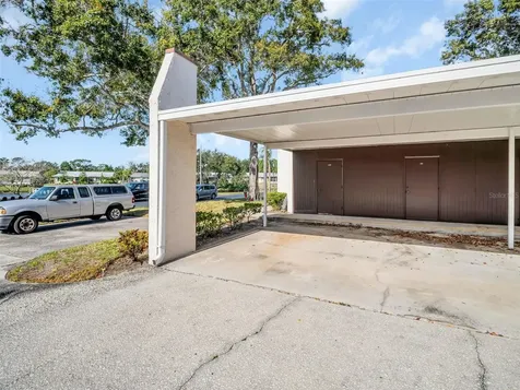 3109 Mission Grove Drive Palm Harbor FL 34684