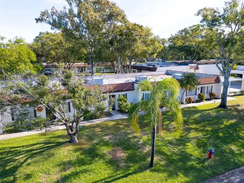 3109 Mission Grove Drive Palm Harbor FL 34684