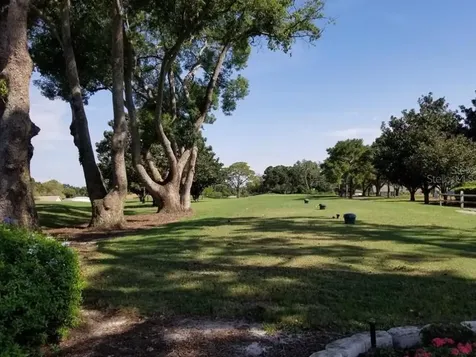 3109 Mission Grove Drive Palm Harbor FL 34684