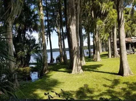 3109 Mission Grove Drive Palm Harbor FL 34684