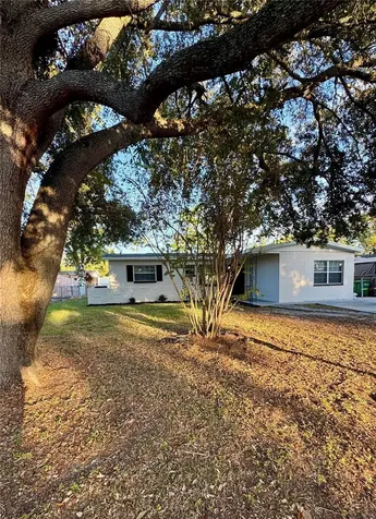 10623 N 25th Street Tampa FL 33612