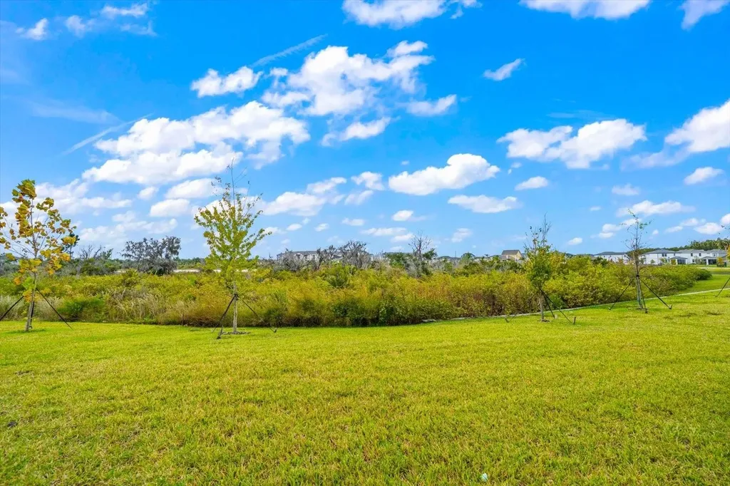 5707 Maydale Avenue Wesley Chapel FL 33545