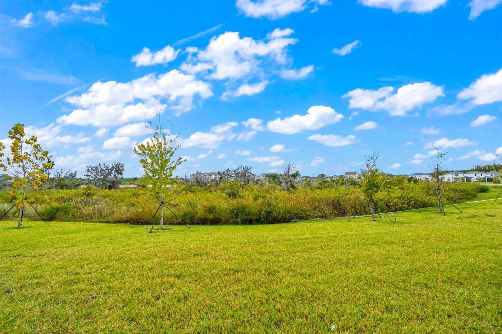 5707 Maydale Avenue Wesley Chapel FL 33545