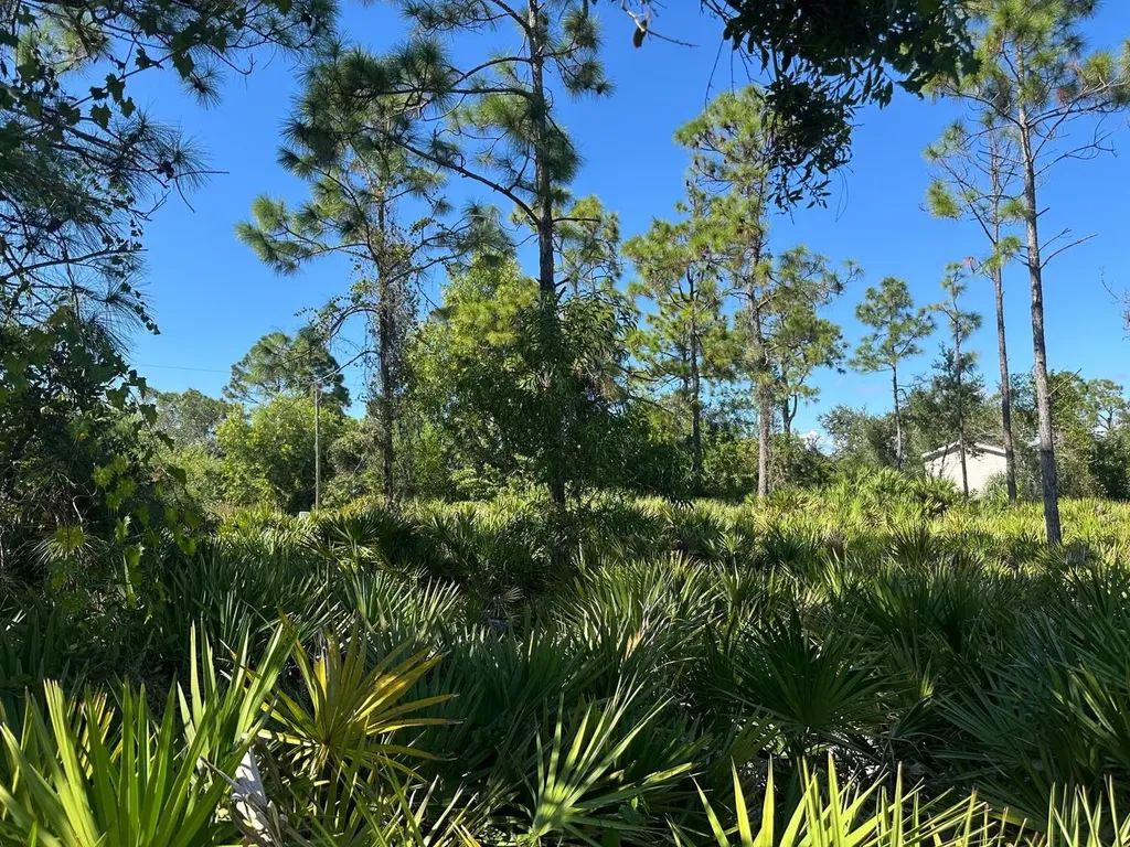 27028 Chamois Drive Punta Gorda FL 33955