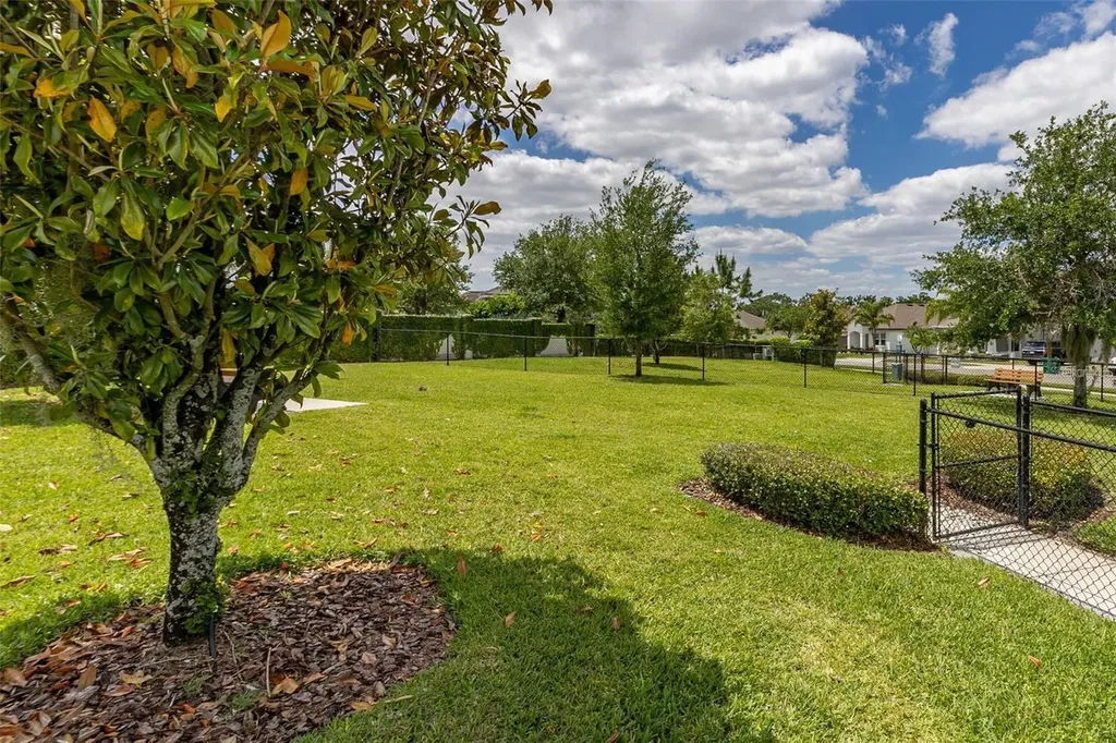 15783 Tangerine Dream Court Winter Garden FL 34787