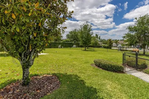 15783 Tangerine Dream Court Winter Garden FL 34787