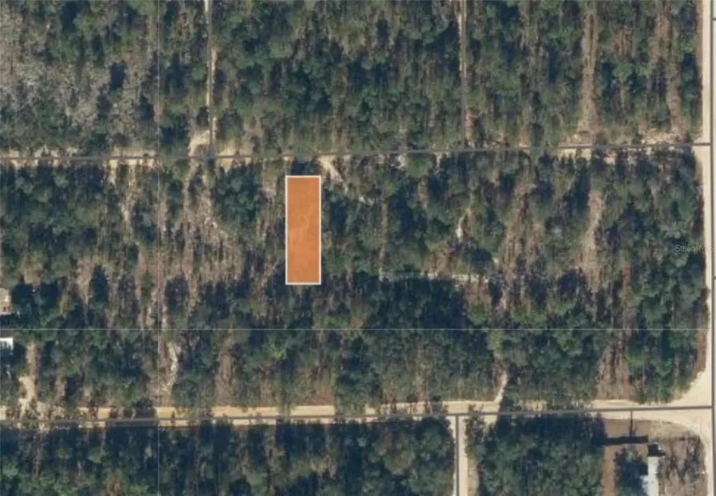 00 Unassigned Road Interlachen FL 32148
