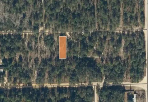 00 Unassigned Road Interlachen FL 32148
