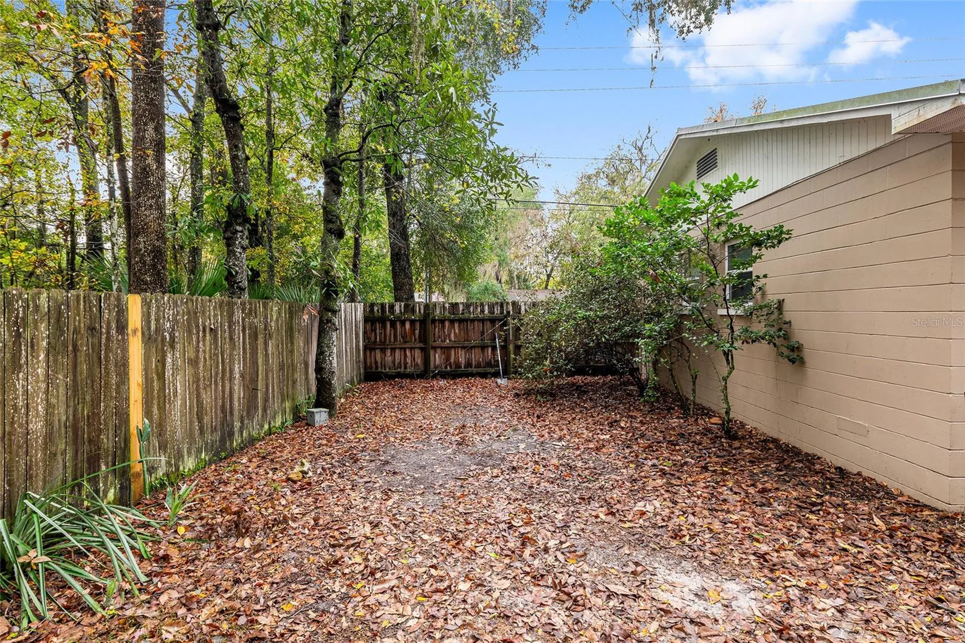 305 NW 34th Street Gainesville FL 32607