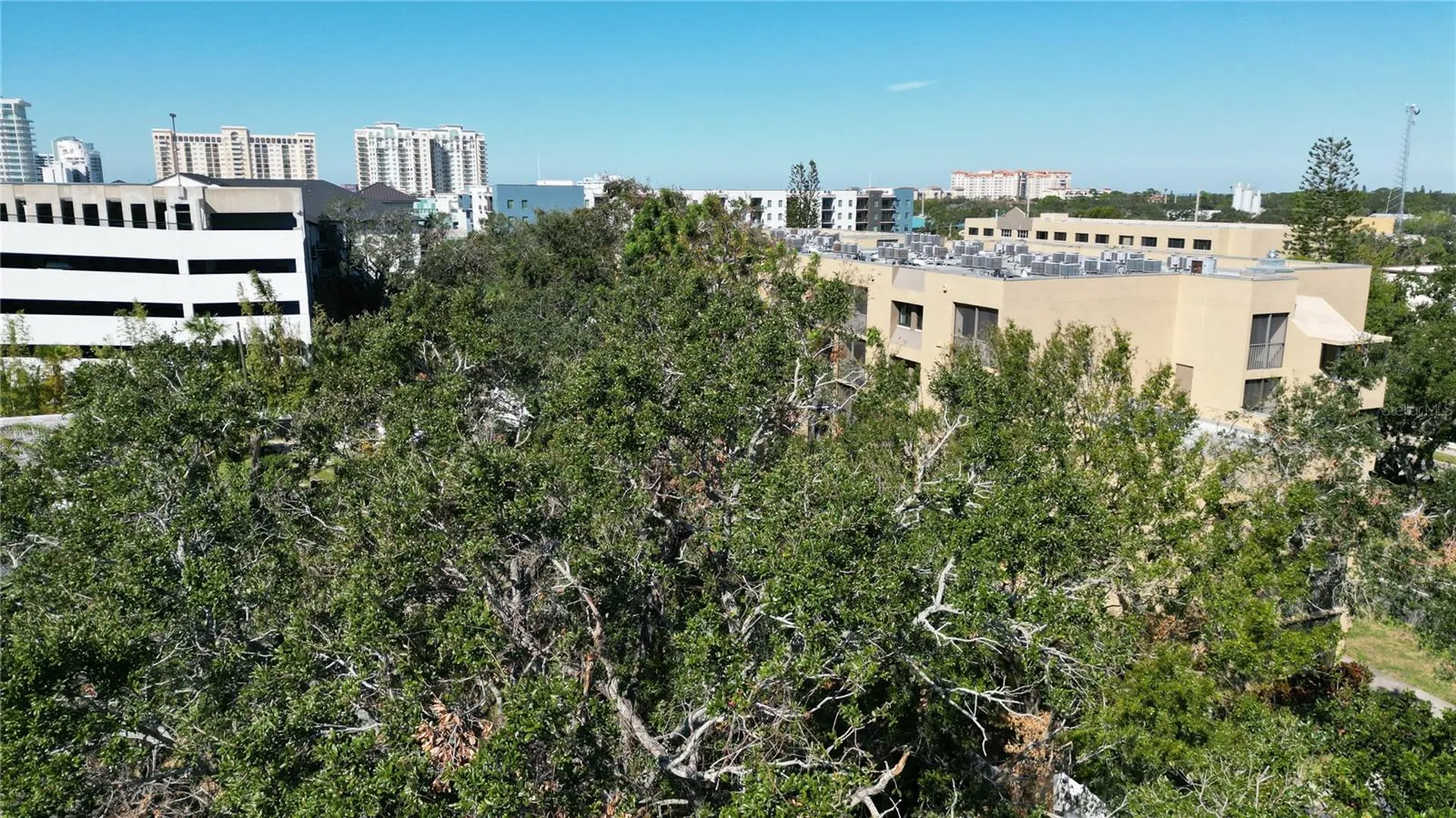 711 N Orange Avenue Sarasota FL 34236