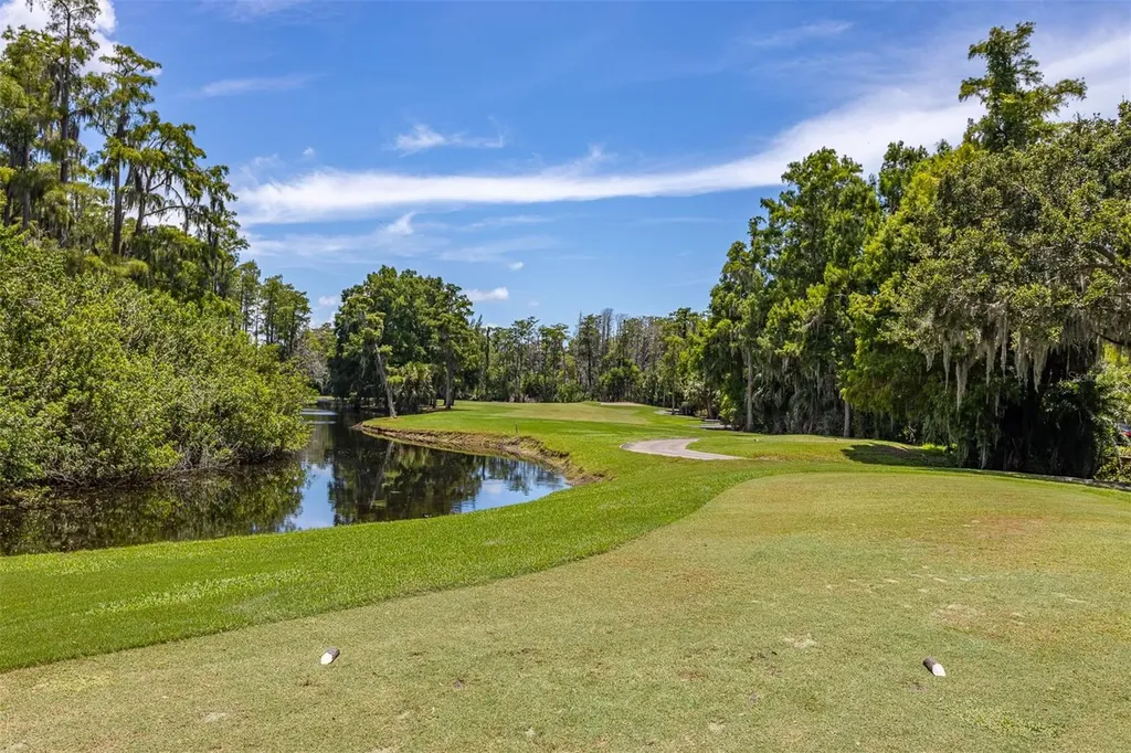 36750 Us Highway 19 N Palm Harbor FL 34683