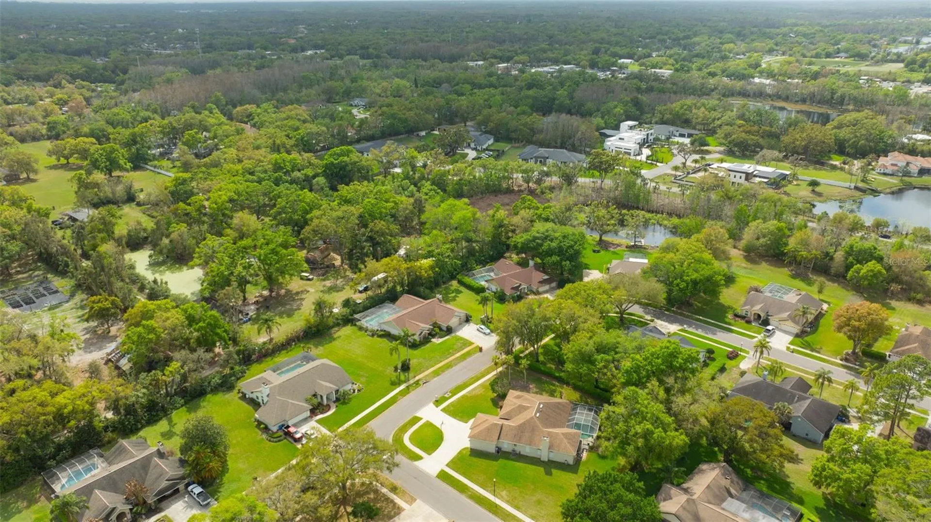 507 Surrey Lane Lutz FL 33549