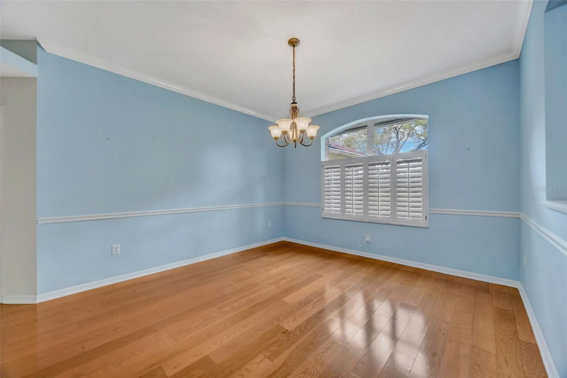 507 Surrey Lane Lutz FL 33549