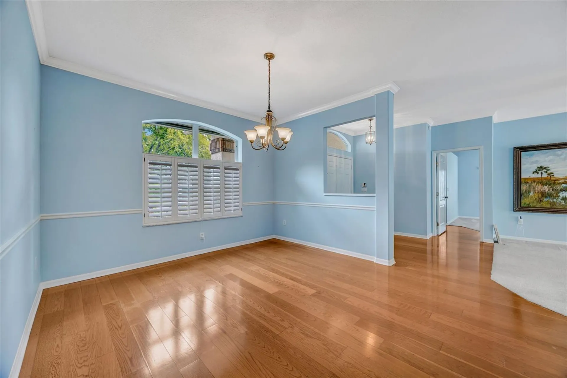 507 Surrey Lane Lutz FL 33549
