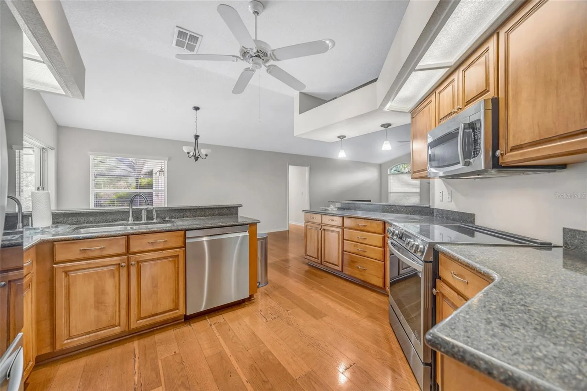 507 Surrey Lane Lutz FL 33549