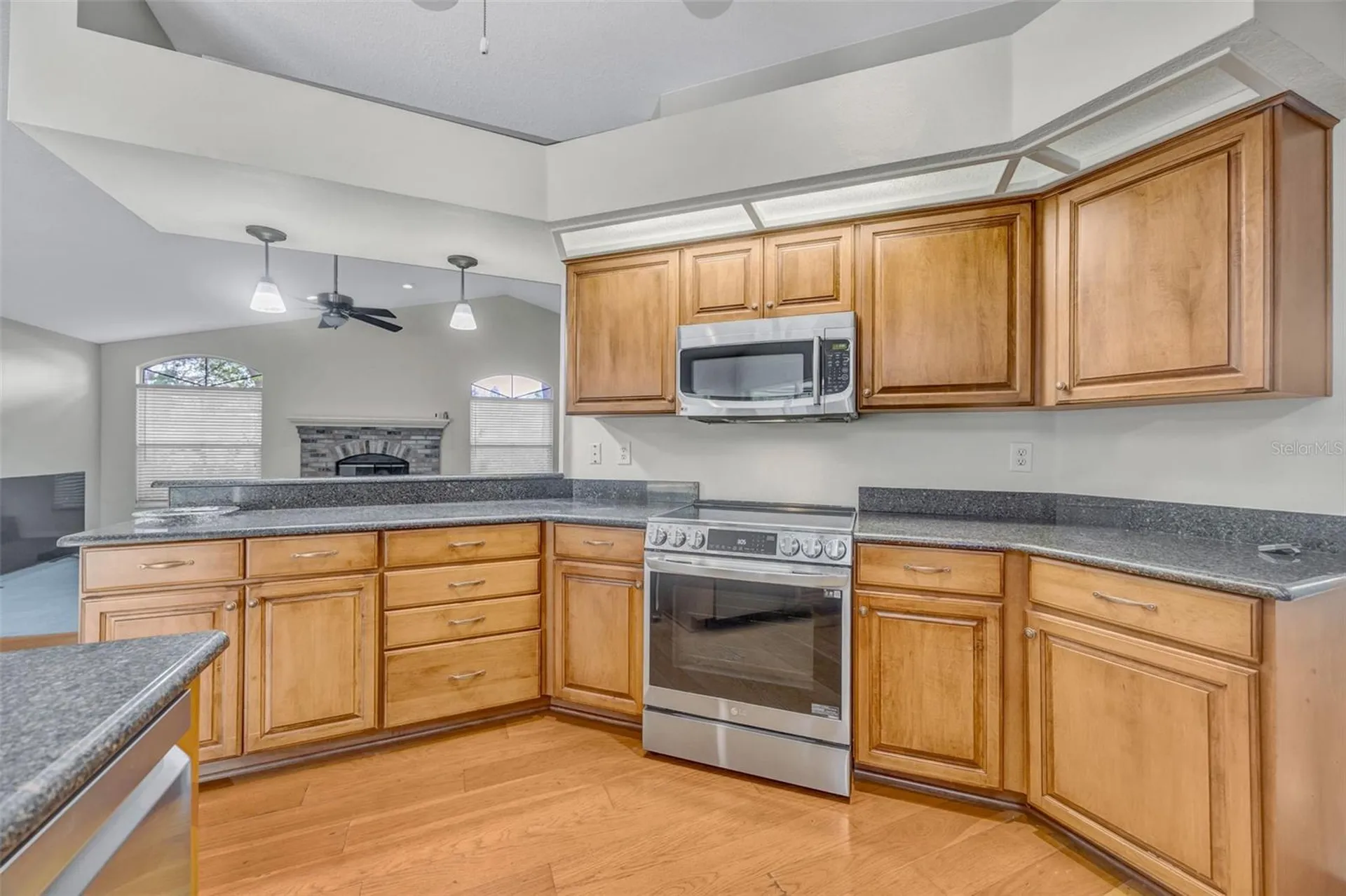 507 Surrey Lane Lutz FL 33549