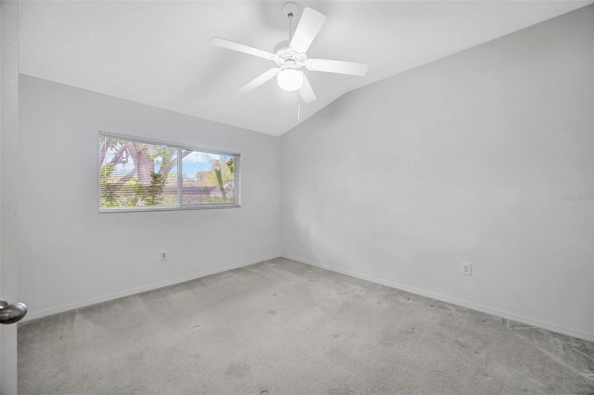 507 Surrey Lane Lutz FL 33549
