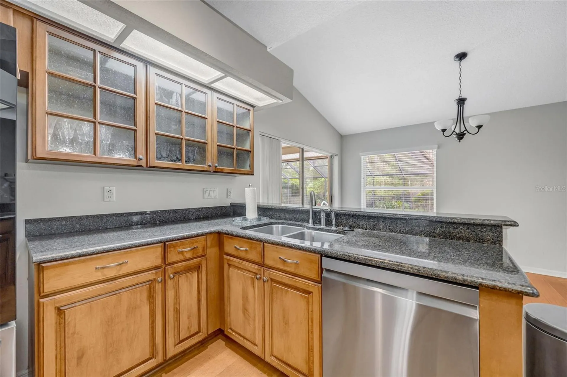 507 Surrey Lane Lutz FL 33549